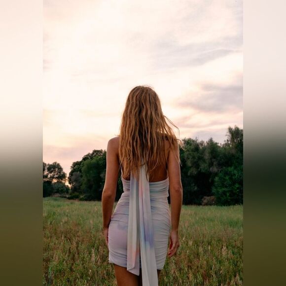 NWT ZARA SHORT TULLE DRESS WITH PRINT - Picture 8 of 11